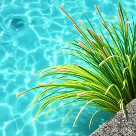 Vale a Pena Comprar Piscina de fibra? Tamanhos, Preços, Vantagens e Desvantagens