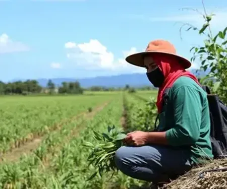 FGTS libera saque de até R$ 6.220 para trabalhadores de 4 cidades do Paraná; pedido vai até 21 de dezembro