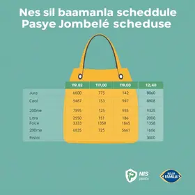 NIS final 8, 9 e 0: saiba quando o Bolsa Família será pago
